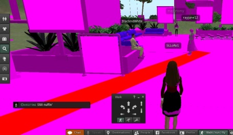 Second Life, virtual world, avatar