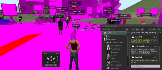 Second Life, virtual world, avatar